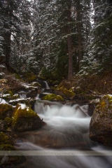 Winter Frozen Creek.jpg